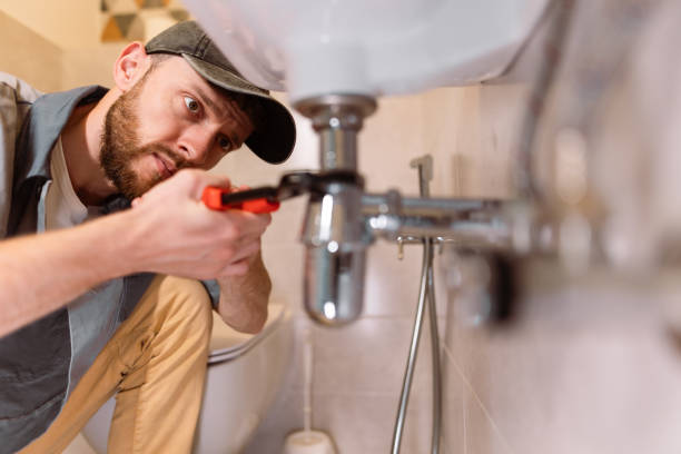 Best Plumbing Services Near Me  in Centrevle, IL