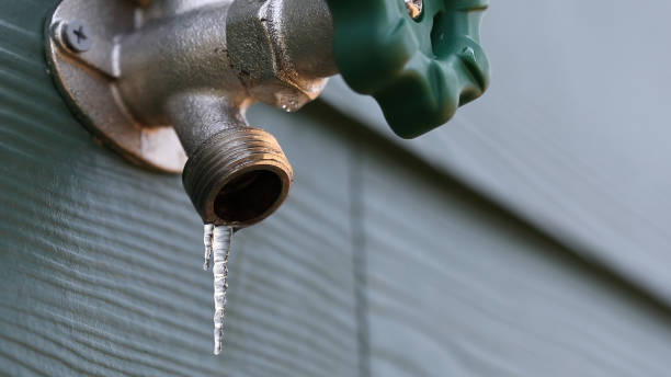 Best Local Plumber Services  in Centrevle, IL