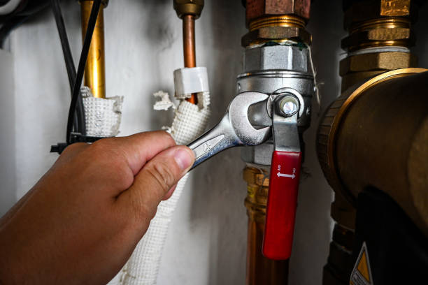 Best Plumbing Services Near Me  in Centrevle, IL